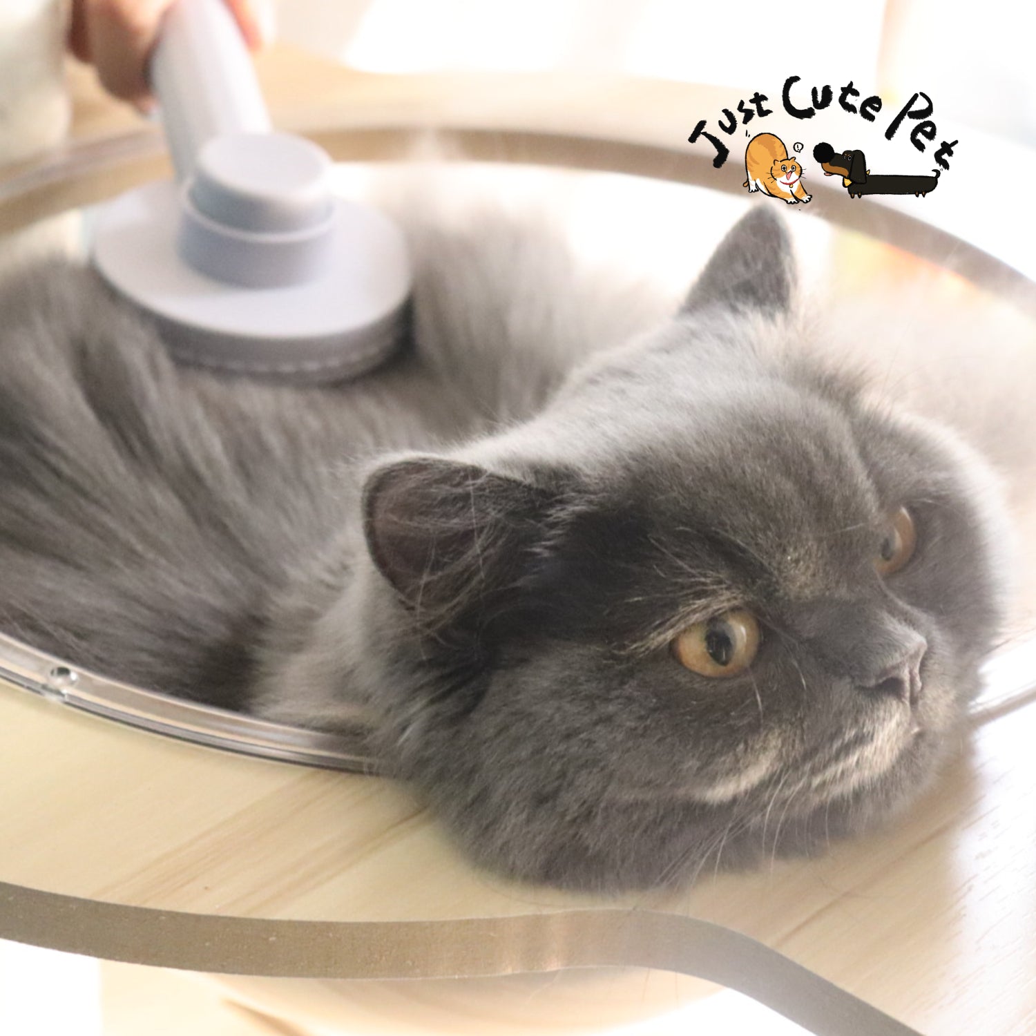 JustCutePet AntiShedding Cat Grooming Brush Comfortable